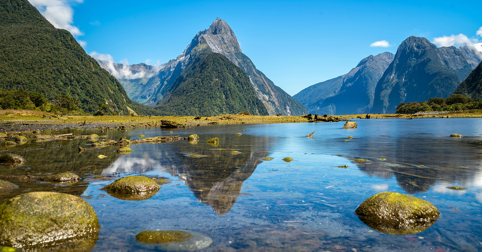 Eco-Friendly Destinations That Deserve a Spot on Your Bucket List