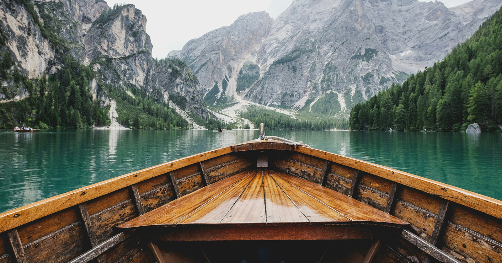 The Best Vegan Tour Companies for 2025