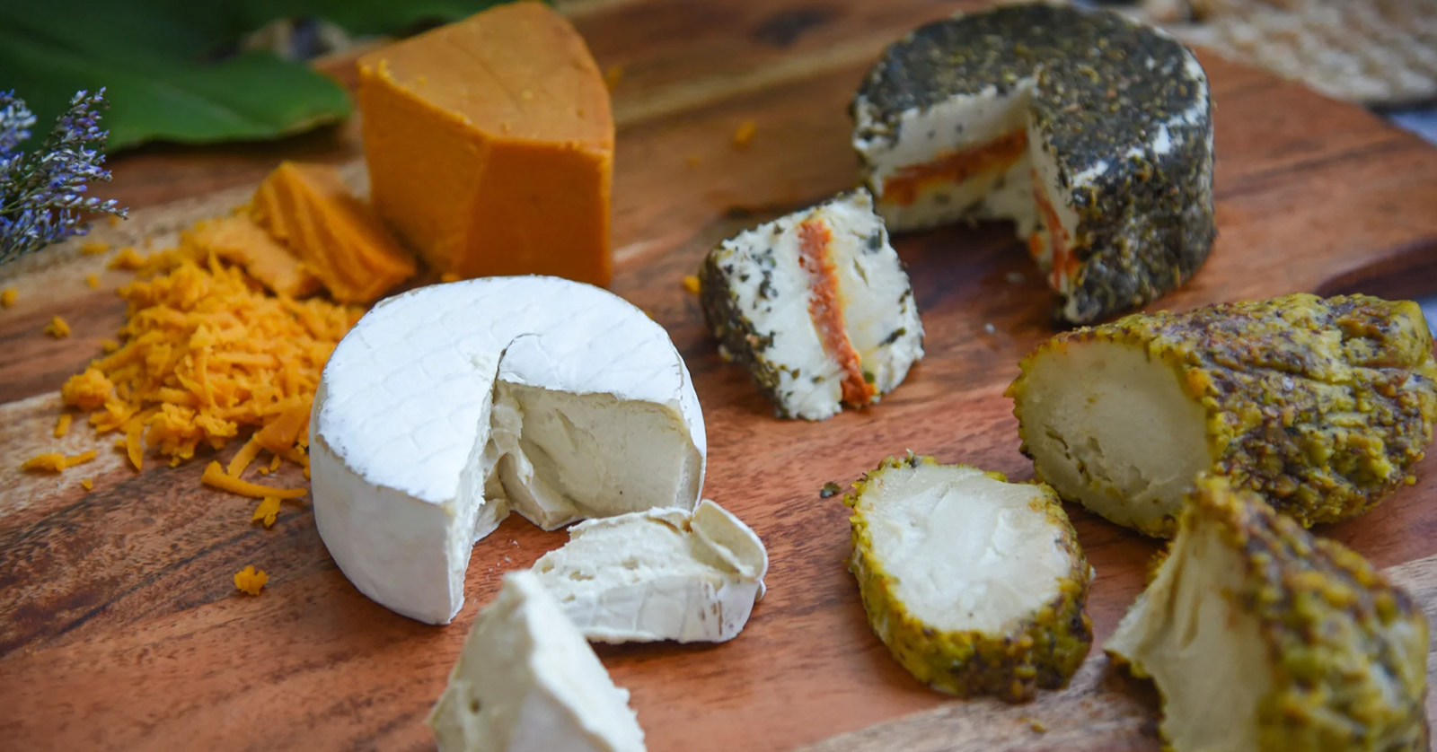 The Best Vegan Cheese Brands, Reviewed and Ranked